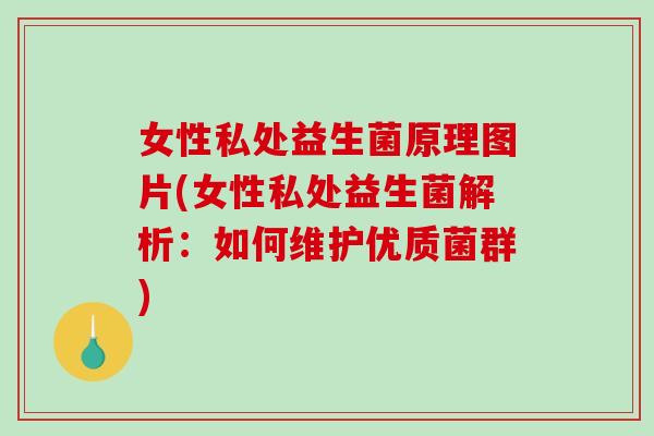 女性私处益生菌原理图片(女性私处益生菌解析：如何维护优质菌群)