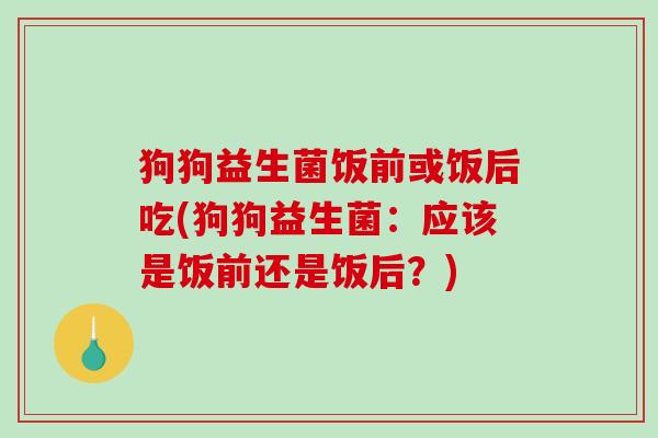 狗狗益生菌饭前或饭后吃(狗狗益生菌：应该是饭前还是饭后？)
