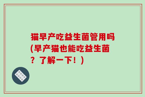 猫早产吃益生菌管用吗(早产猫也能吃益生菌？了解一下！)
