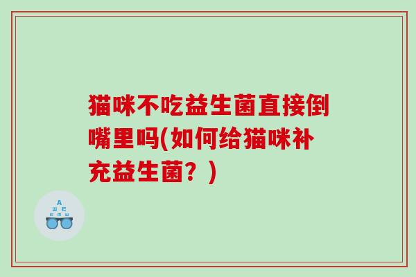 猫咪不吃益生菌直接倒嘴里吗(如何给猫咪补充益生菌？)