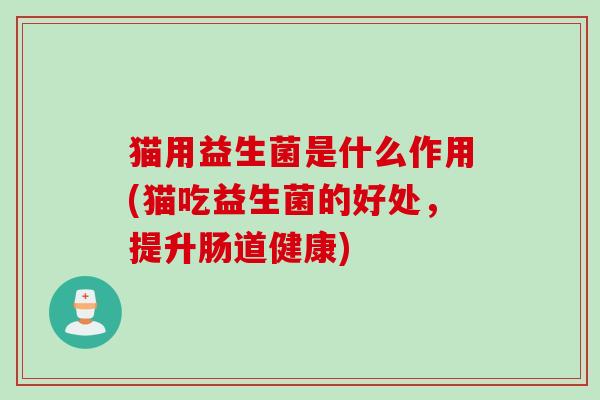猫用益生菌是什么作用(猫吃益生菌的好处，提升肠道健康)