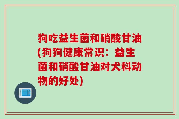 狗吃益生菌和硝酸甘油(狗狗健康常识：益生菌和硝酸甘油对犬科动物的好处)