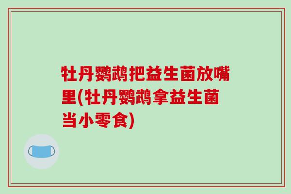 牡丹鹦鹉把益生菌放嘴里(牡丹鹦鹉拿益生菌当小零食)