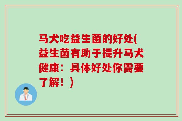 马犬吃益生菌的好处(益生菌有助于提升马犬健康：具体好处你需要了解！)