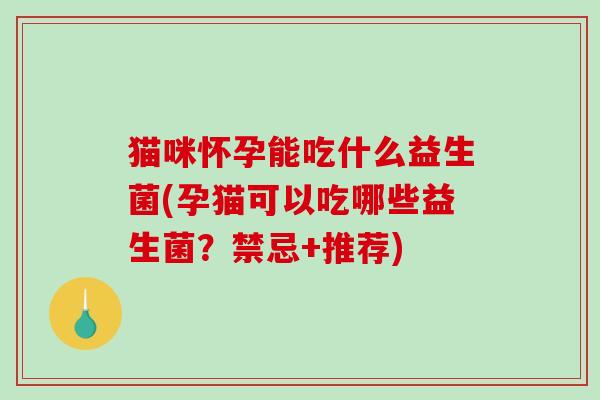 猫咪怀孕能吃什么益生菌(孕猫可以吃哪些益生菌？禁忌+推荐)