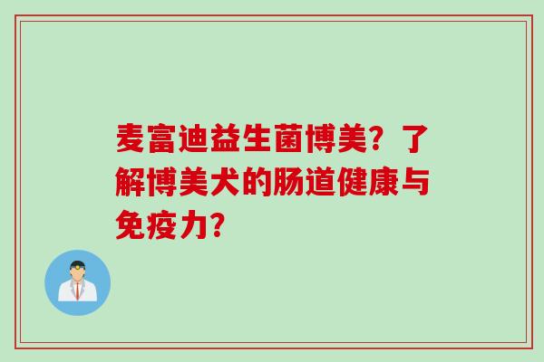 麦富迪益生菌博美？了解博美犬的肠道健康与免疫力？