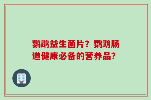 鹦鹉益生菌片？鹦鹉肠道健康必备的营养品？