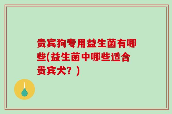 贵宾狗专用益生菌有哪些(益生菌中哪些适合贵宾犬？)