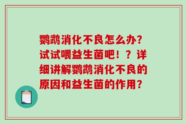 鹦鹉消化不良怎么办？试试喂益生菌吧！？详细讲解鹦鹉消化不良的原因和益生菌的作用？