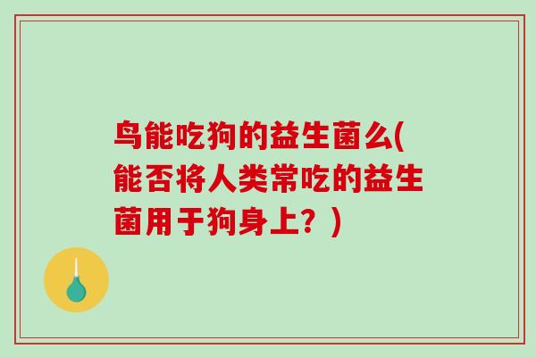 鸟能吃狗的益生菌么(能否将人类常吃的益生菌用于狗身上？)