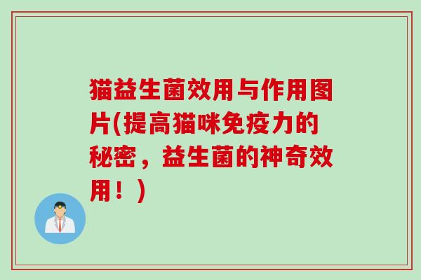 猫益生菌效用与作用图片(提高猫咪免疫力的秘密，益生菌的神奇效用！)