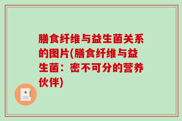 膳食纤维与益生菌关系的图片(膳食纤维与益生菌:密不可分的营养伙伴) 膳食纤维与益生菌关系的图片(膳食纤维与益生菌:密不可分的营养伙伴)