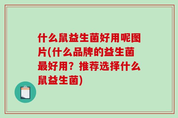 什么鼠益生菌好用呢图片(什么品牌的益生菌最好用？推荐选择什么鼠益生菌)