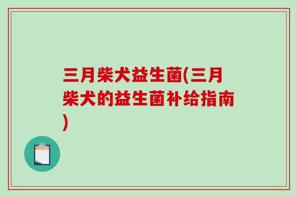 三月柴犬益生菌(三月柴犬的益生菌补给指南)
