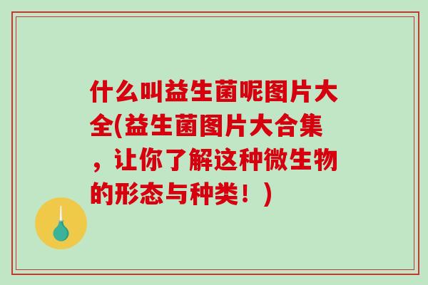 什么叫益生菌呢图片大全(益生菌图片大合集，让你了解这种微生物的形态与种类！)