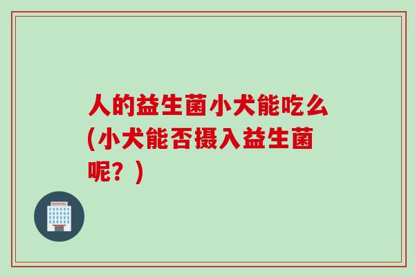 人的益生菌小犬能吃么(小犬能否摄入益生菌呢？)