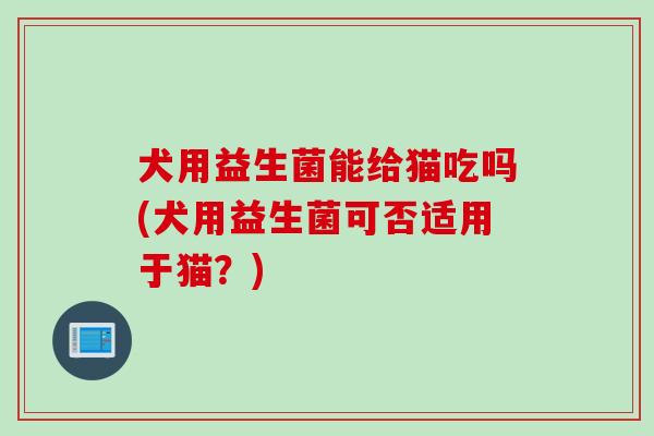 犬用益生菌能给猫吃吗(犬用益生菌可否适用于猫？)