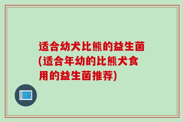 适合幼犬比熊的益生菌(适合年幼的比熊犬食用的益生菌推荐)