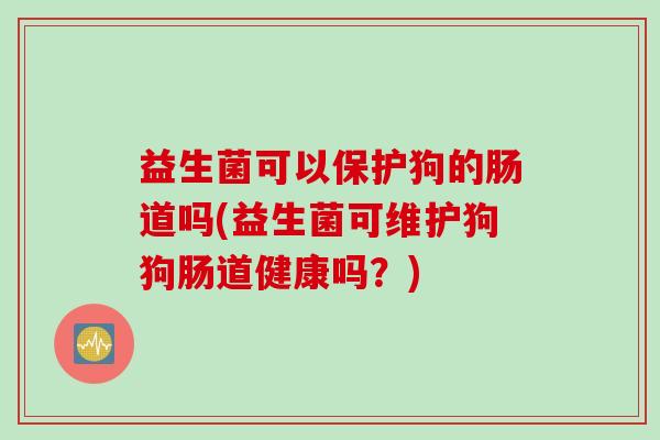 益生菌可以保护狗的肠道吗(益生菌可维护狗狗肠道健康吗？)
