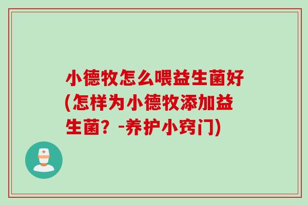 小德牧怎么喂益生菌好(怎样为小德牧添加益生菌？-养护小窍门)