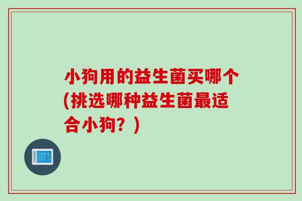 小狗用的益生菌买哪个(挑选哪种益生菌适合小狗?) 小狗用的益生菌买哪个(挑选哪种益生菌适合小狗?)