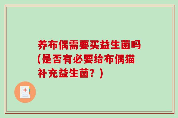 养布偶需要买益生菌吗(是否有必要给布偶猫补充益生菌？)