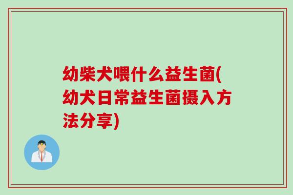 幼柴犬喂什么益生菌(幼犬日常益生菌摄入方法分享)