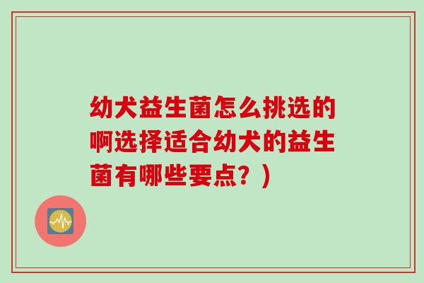 幼犬益生菌怎么挑选的啊选择适合幼犬的益生菌有哪些要点?) 幼犬益生菌怎么挑选的啊选择适合幼犬的益生菌有哪些要点?)