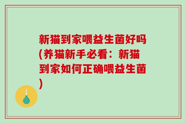 新猫到家喂益生菌好吗(养猫新手必看:新猫到家如何正确喂益生菌) 新猫到家喂益生菌好吗(养猫新手必看:新猫到家如何正确喂益生菌)