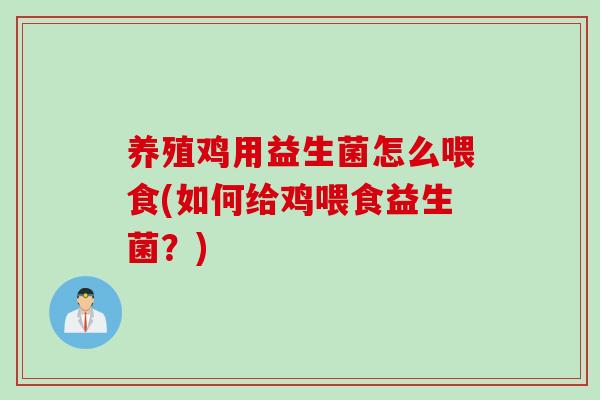 养殖鸡用益生菌怎么喂食(如何给鸡喂食益生菌？)