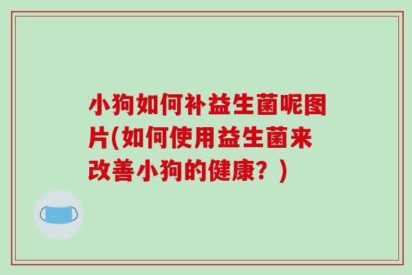 小狗如何补益生菌呢图片(如何使用益生菌来改善小狗的健康？)