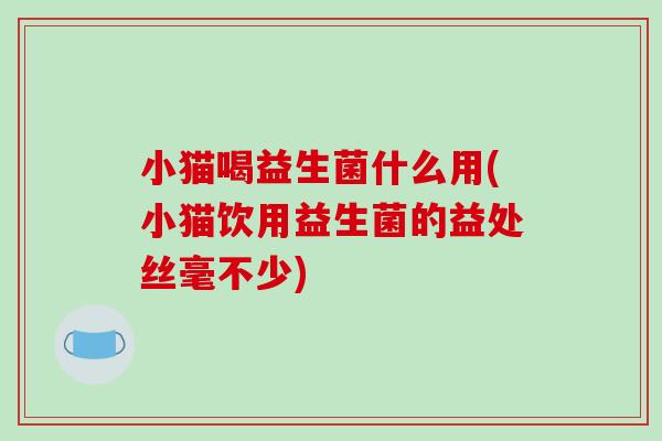 小猫喝益生菌什么用(小猫饮用益生菌的益处丝毫不少) 小猫喝益生菌什么用(小猫饮用益生菌的益处丝毫不少)