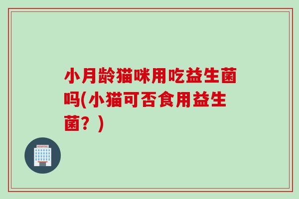 小月龄猫咪用吃益生菌吗(小猫可否食用益生菌？)
