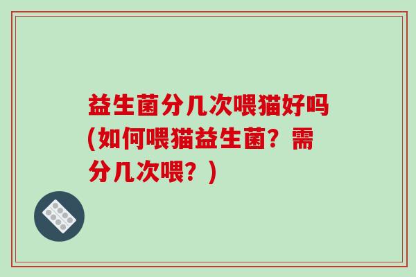 益生菌分几次喂猫好吗(如何喂猫益生菌？需分几次喂？)