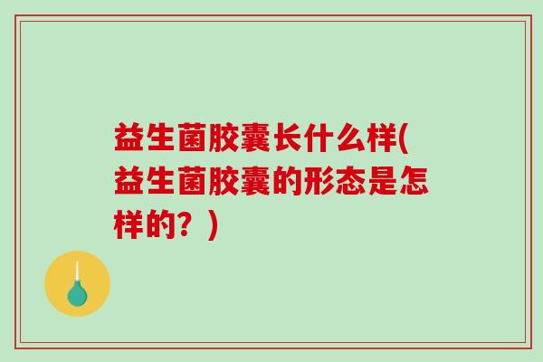 益生菌胶囊长什么样(益生菌胶囊的形态是怎样的？)