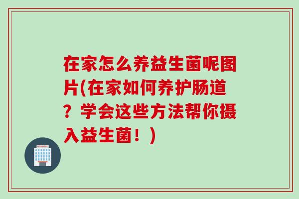 在家怎么养益生菌呢图片(在家如何养护肠道？学会这些方法帮你摄入益生菌！)