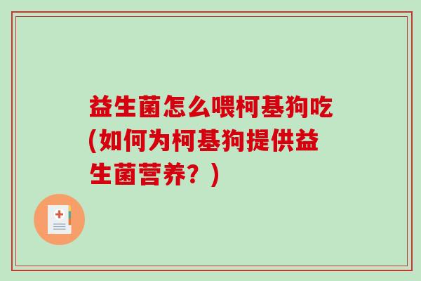 益生菌怎么喂柯基狗吃(如何为柯基狗提供益生菌营养？)