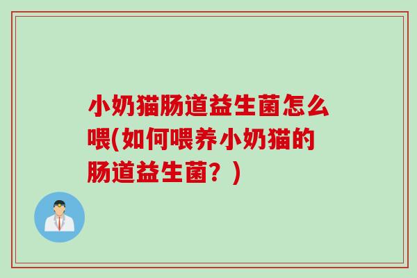 小奶猫肠道益生菌怎么喂(如何喂养小奶猫的肠道益生菌？)
