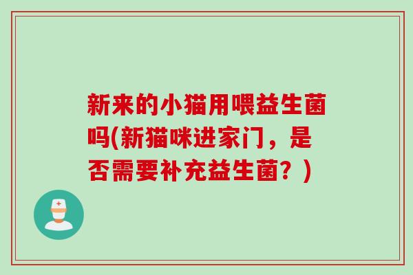 新来的小猫用喂益生菌吗(新猫咪进家门，是否需要补充益生菌？)
