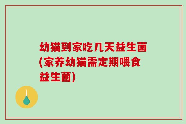 幼猫到家吃几天益生菌(家养幼猫需定期喂食益生菌)