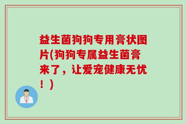 益生菌狗狗专用膏状图片(狗狗专属益生菌膏来了，让爱宠健康无忧！)