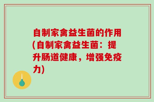 自制家禽益生菌的作用(自制家禽益生菌：提升肠道健康，增强免疫力)