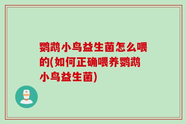 鹦鹉小鸟益生菌怎么喂的(如何正确喂养鹦鹉小鸟益生菌)