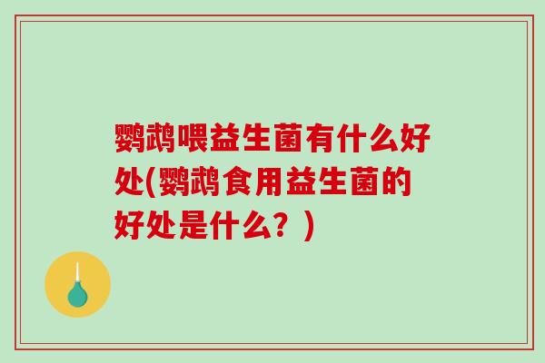 鹦鹉喂益生菌有什么好处(鹦鹉食用益生菌的好处是什么？)