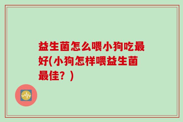 益生菌怎么喂小狗吃最好(小狗怎样喂益生菌最佳？)