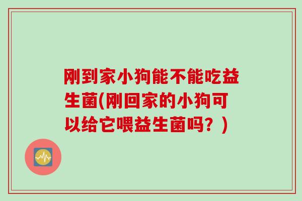 刚到家小狗能不能吃益生菌(刚回家的小狗可以给它喂益生菌吗?) 刚到家小狗能不能吃益生菌(刚回家的小狗可以给它喂益生菌吗?)