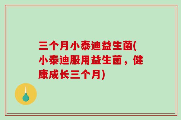 三个月小泰迪益生菌(小泰迪服用益生菌，健康成长三个月)