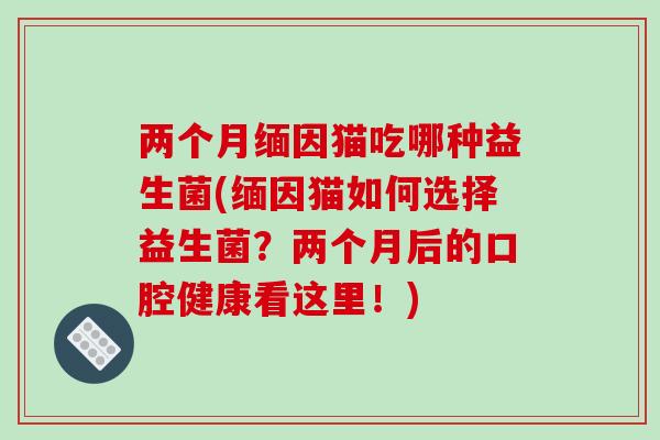 两个月缅因猫吃哪种益生菌(缅因猫如何选择益生菌？两个月后的口腔健康看这里！)