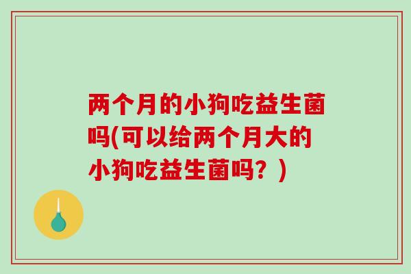 两个月的小狗吃益生菌吗(可以给两个月大的小狗吃益生菌吗？)