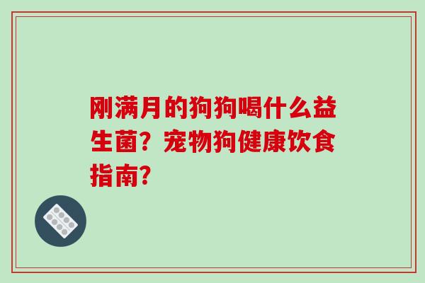 刚满月的狗狗喝什么益生菌？宠物狗健康饮食指南？